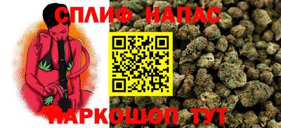 шишки Донецк