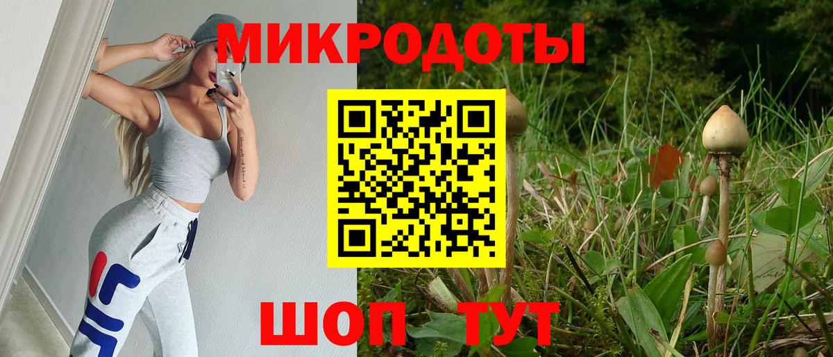 Псилоцибиновые грибы Psilocybine cubensis Люберцы
