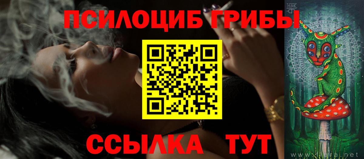 Галлюциногенные грибы Cubensis  Вход с VPN  Люберцы 